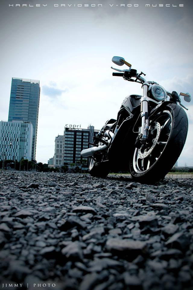 Ngắm em V-Rod Muscle 2014 của Harley